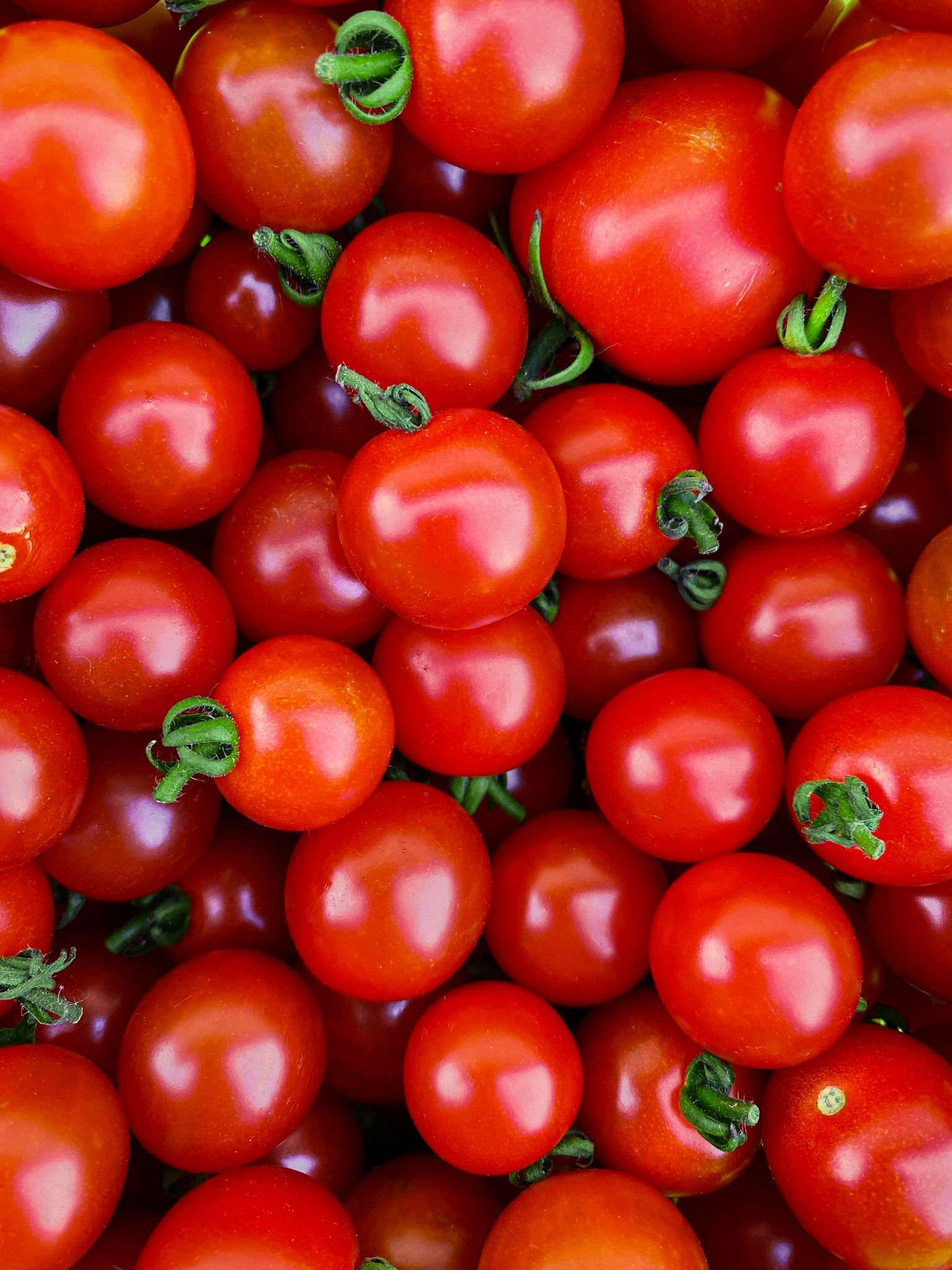Fresh Fruits & Vegetables
