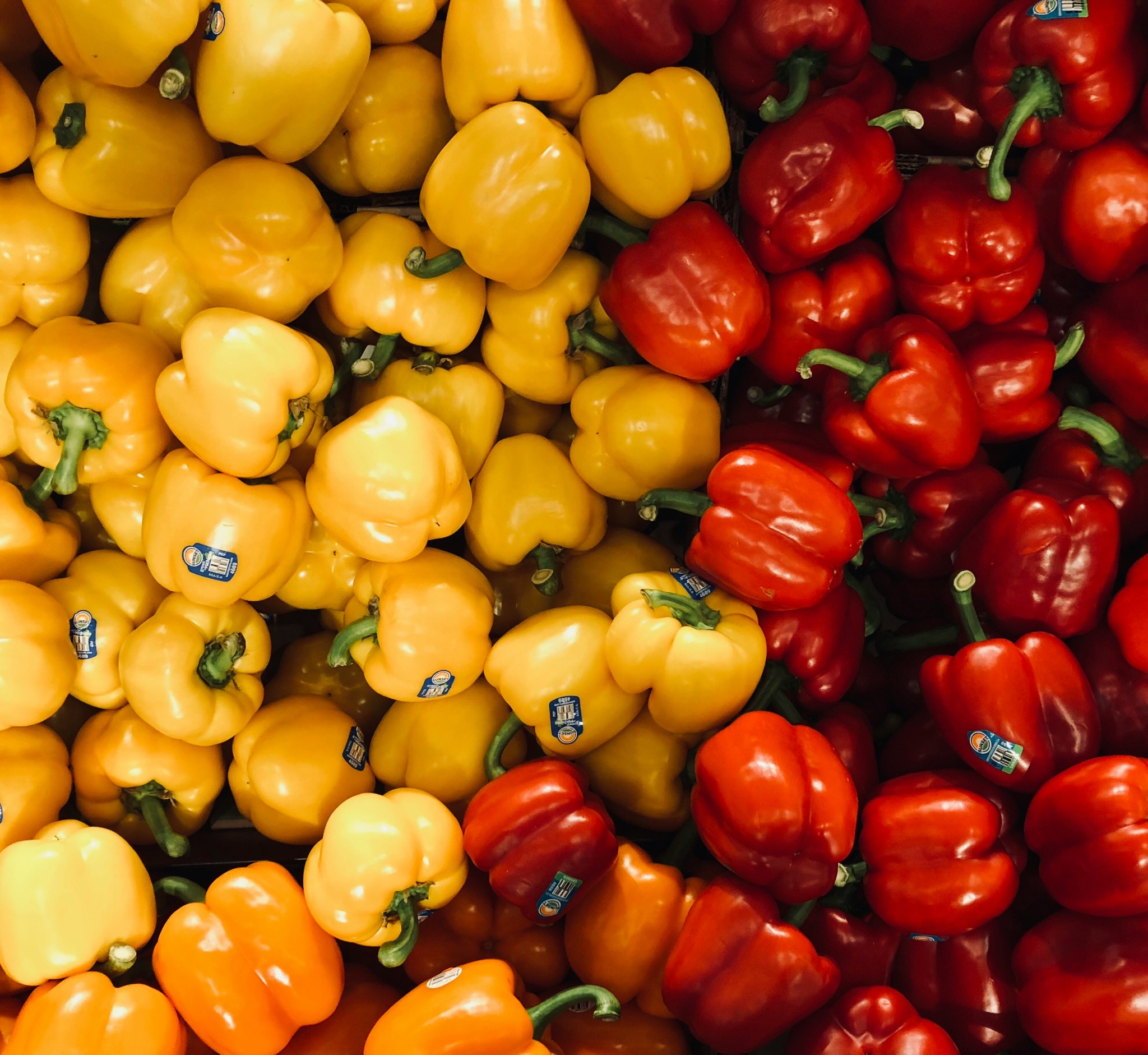 Fresh Fruits & Vegetables