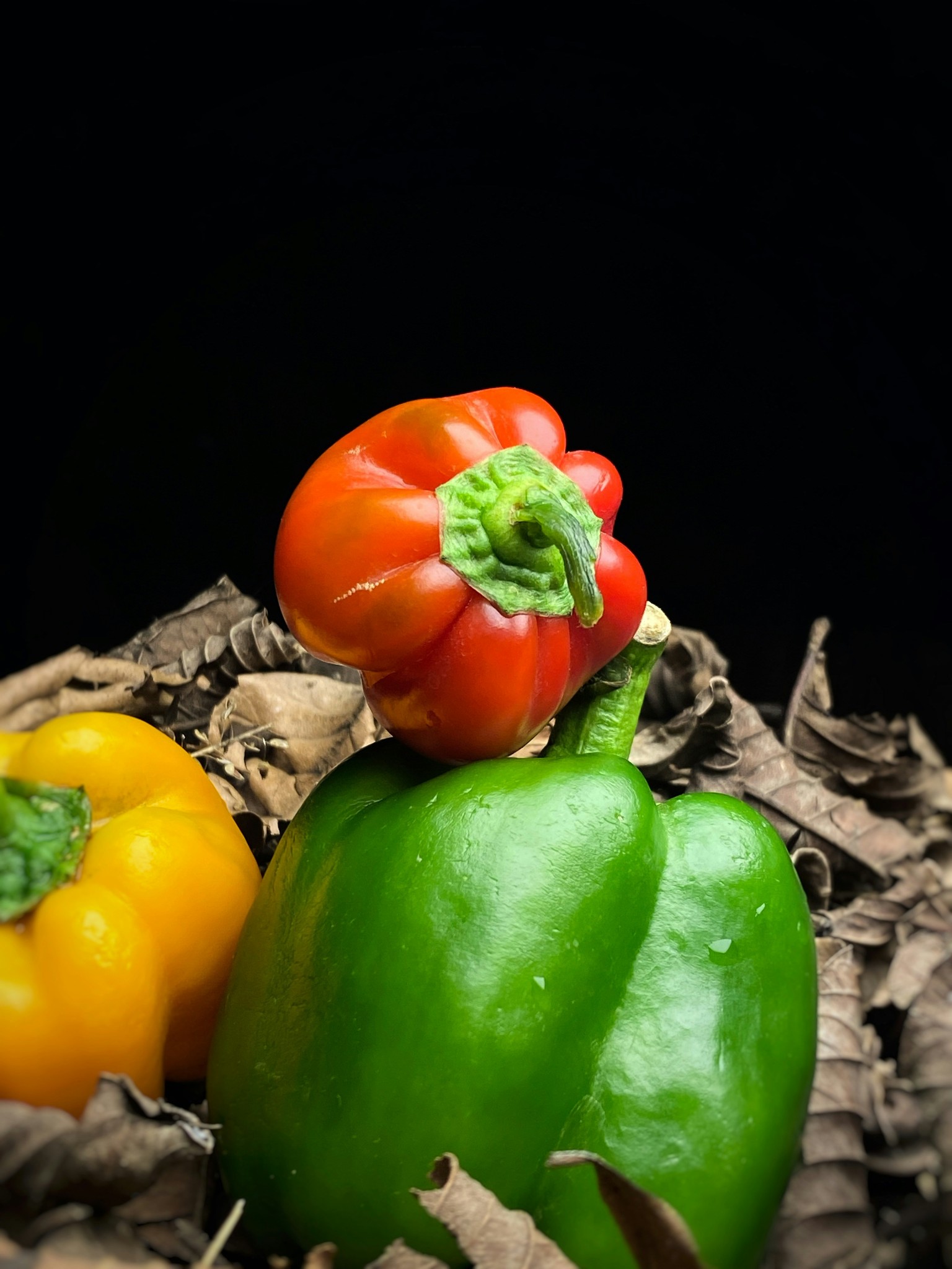 Hispanic Specialties